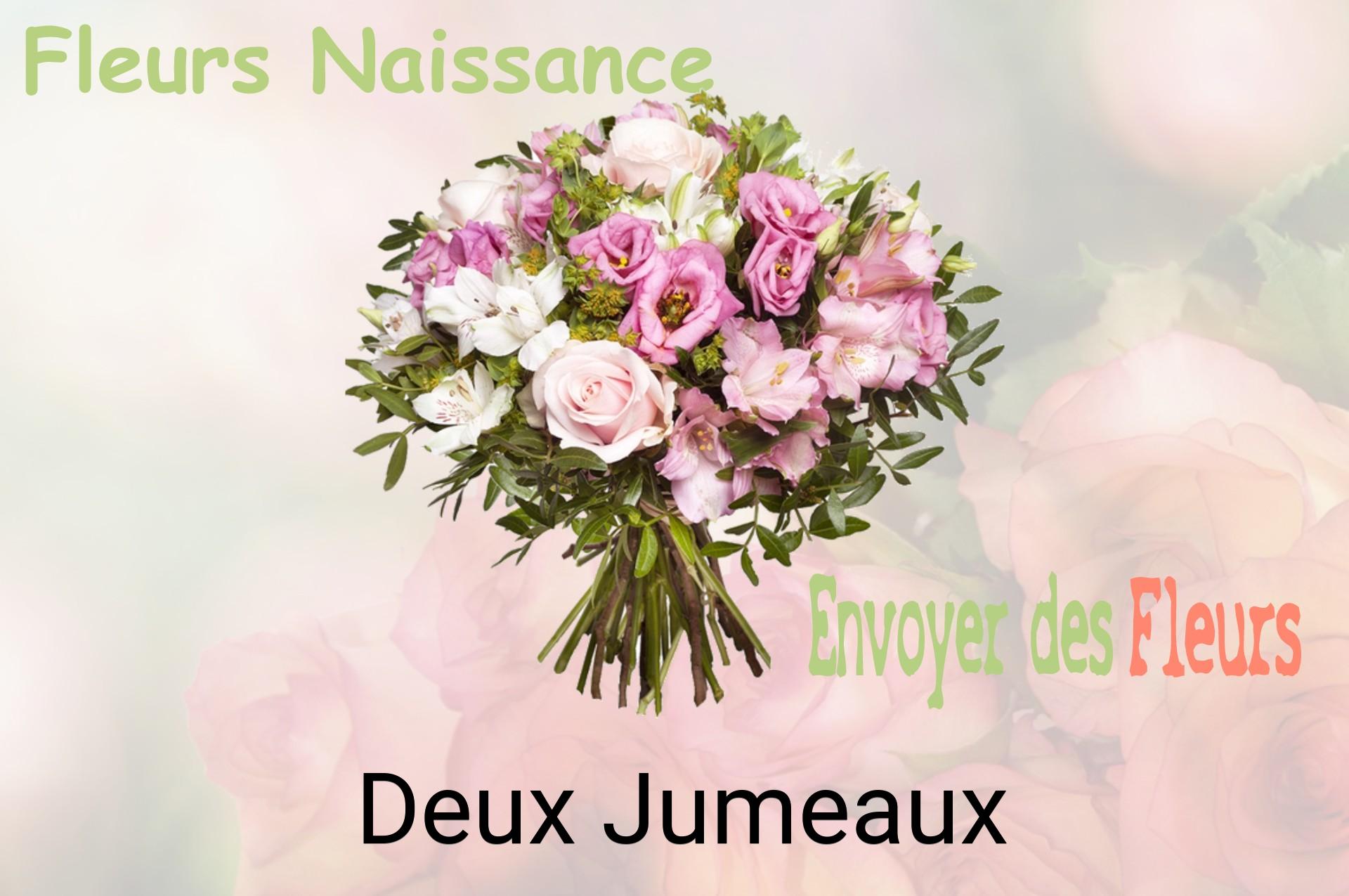 Bouquet de fleurs de naissance livré à Deux-Jumeaux
