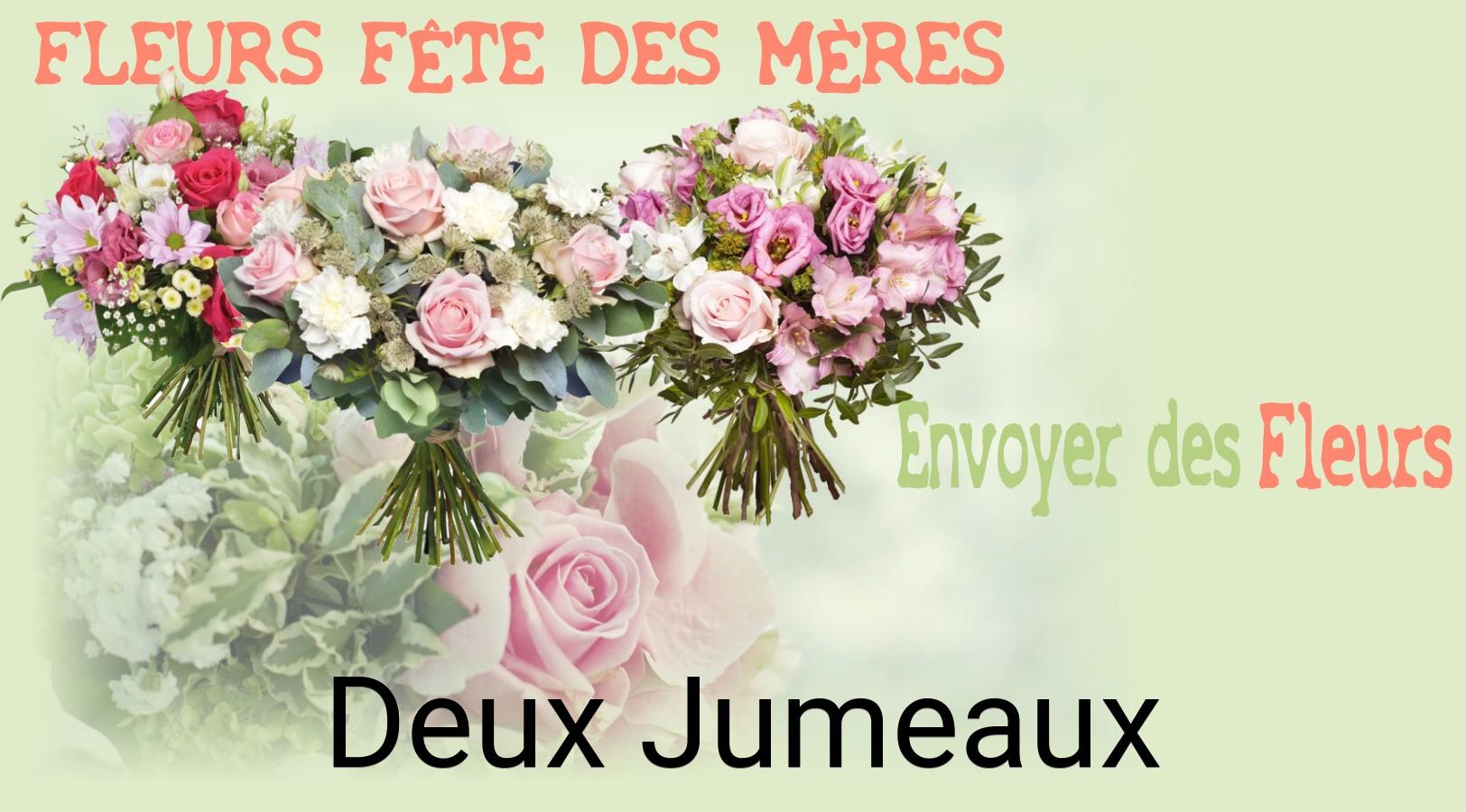 Bouquet de Fête des Mères livré à Deux-Jumeaux